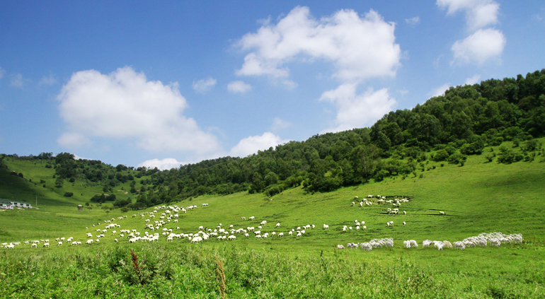 ��ӯ�ᡤ(�й���)�ٷ���վ