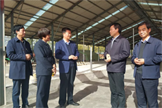 ��ӯ�ᡤ(�й���)�ٷ���վ