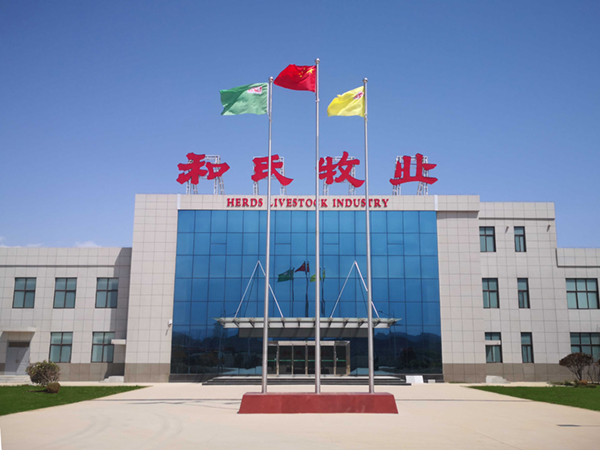 ��ӯ�ᡤ(�й���)�ٷ���վ